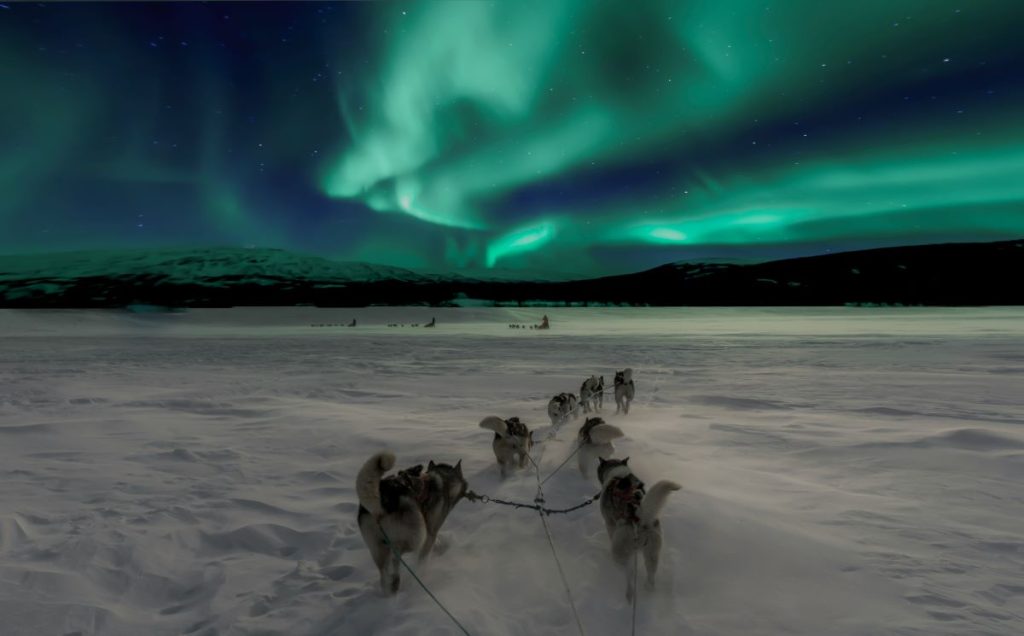 people traveling with sled dogs, across a snow meadow, under green aurora borealis
